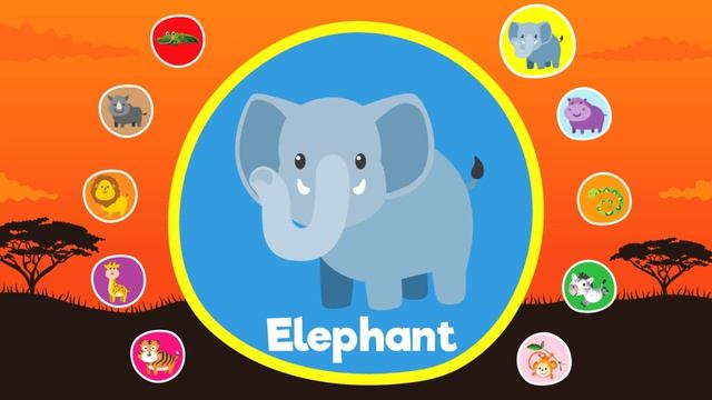 Learn Wild Animals For Kids _ Video Flashcards _ Kindergarten, Preschool, ESL _ Fun Kids English
