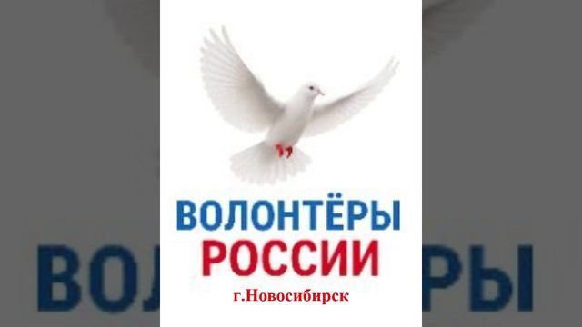 Волонтёры ТОС Затулинский