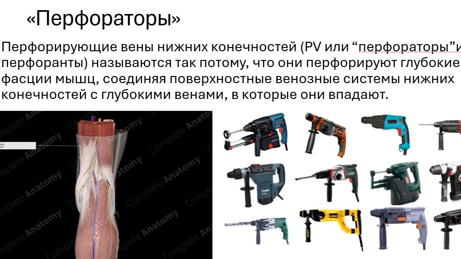 Лекции 2025