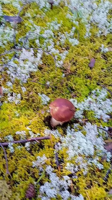 VID_20260821_082812[1]
