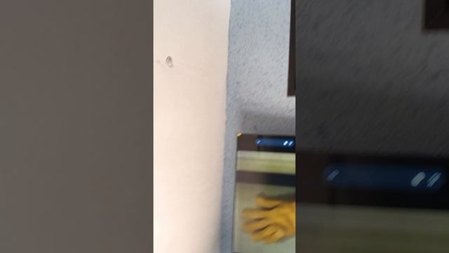 сняли странный взлом чересель
