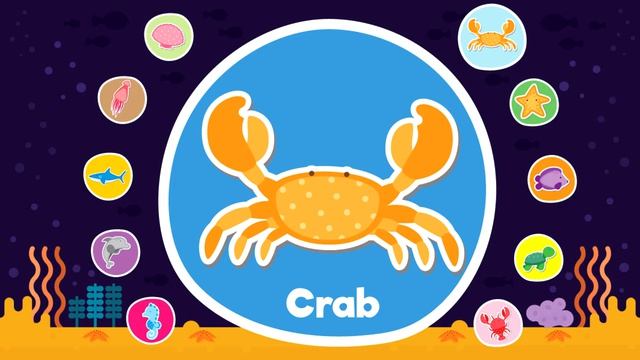Learn Sea Animals & Water Animals For Kids _ Video Flash Cards _ Kindergarten _