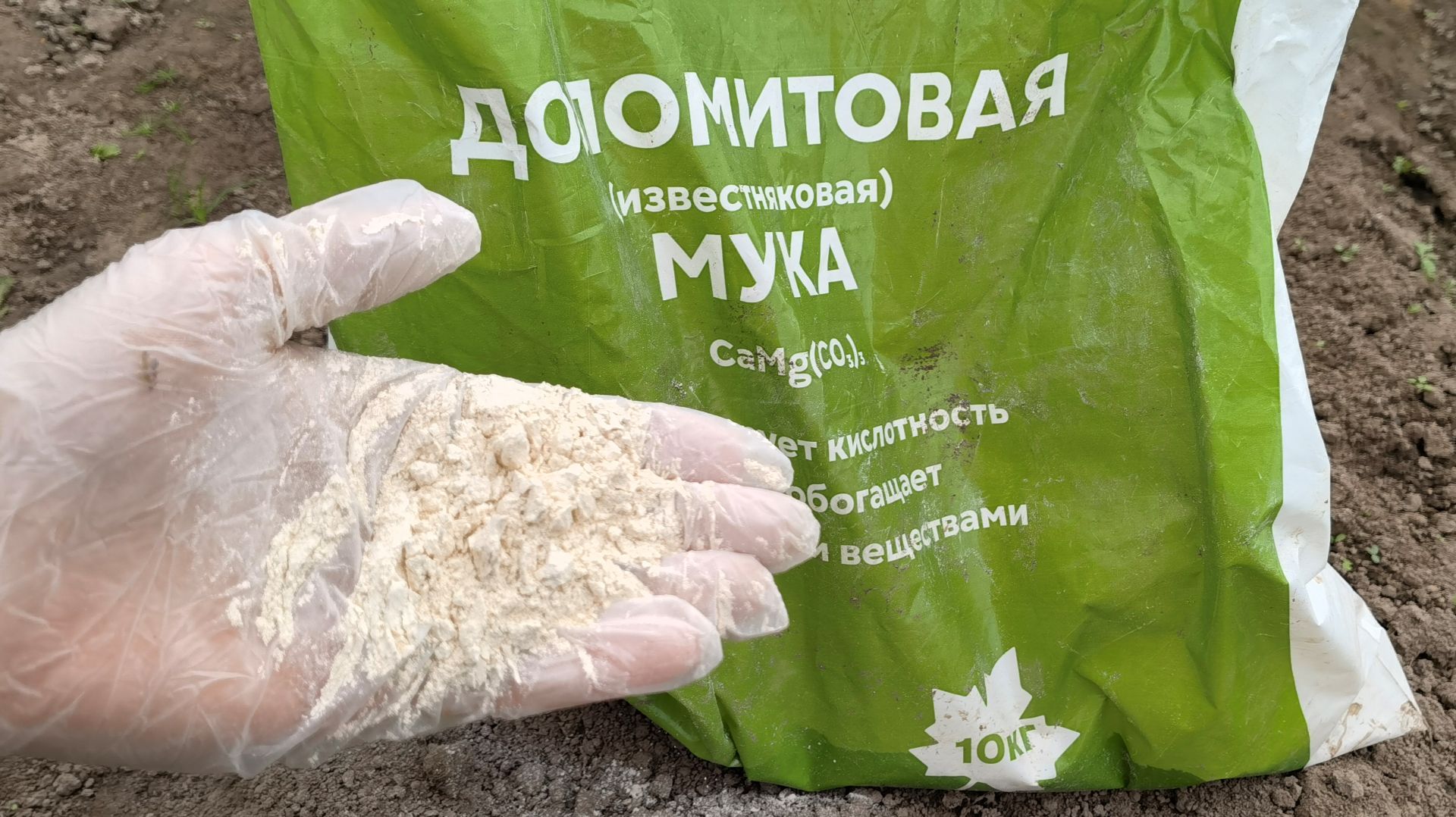 Доломитовая мука для сада и огорода: как правильно вносить осенью в почву, чтобы не навредить