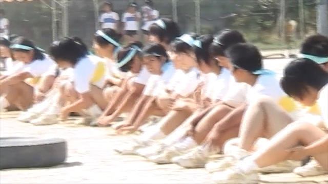 Tug-of-war Tire Sports Festival High-Quality