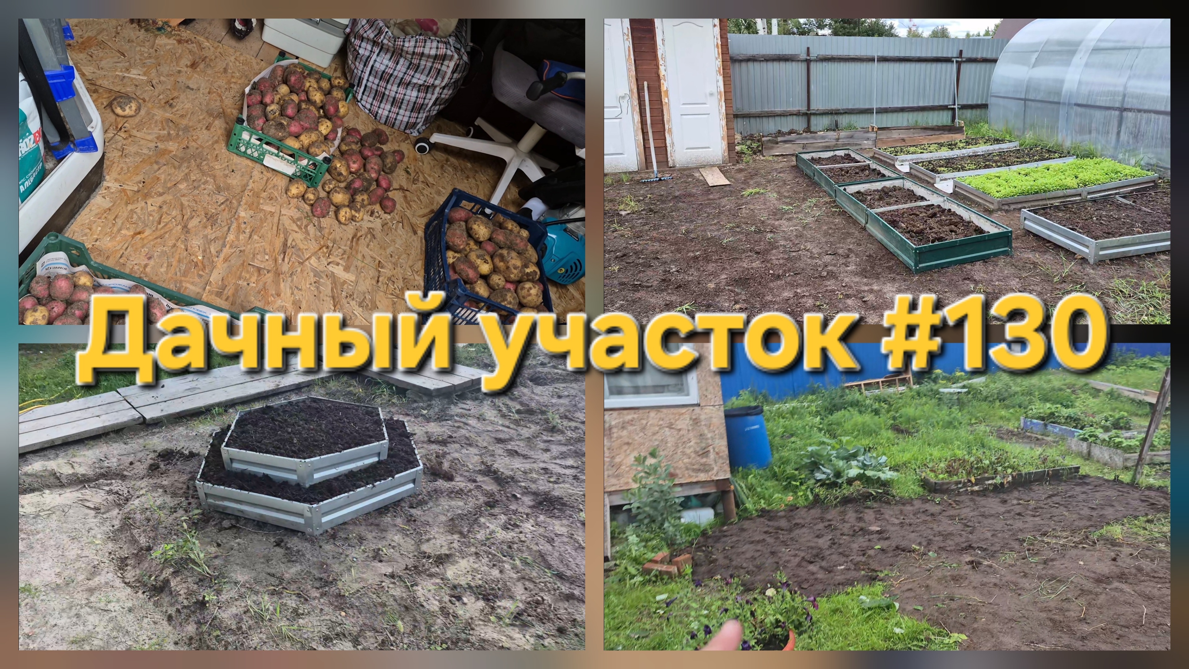 Как подготовить грядки к зиме и собрать картофель? Дачный участок №130