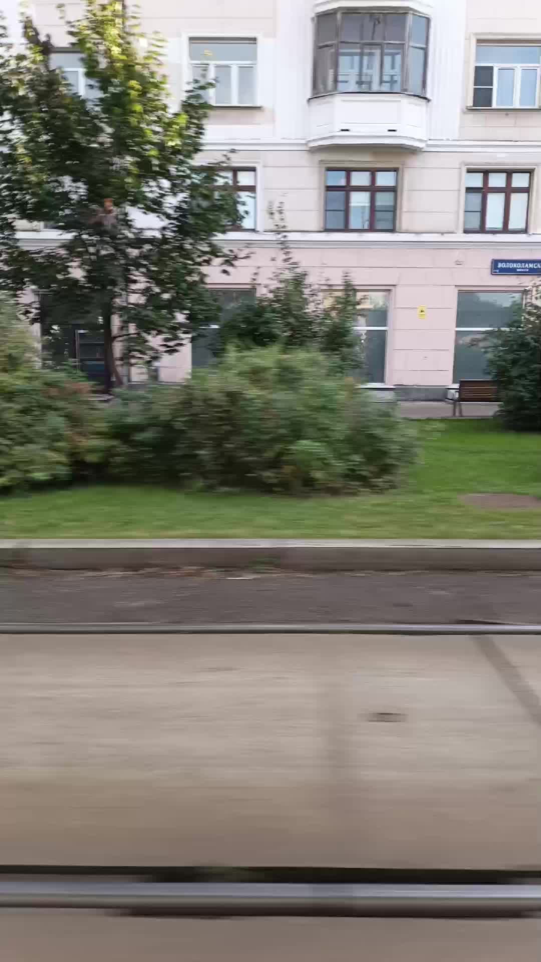 Поездки в общественном транспорте | 31-авг-2026