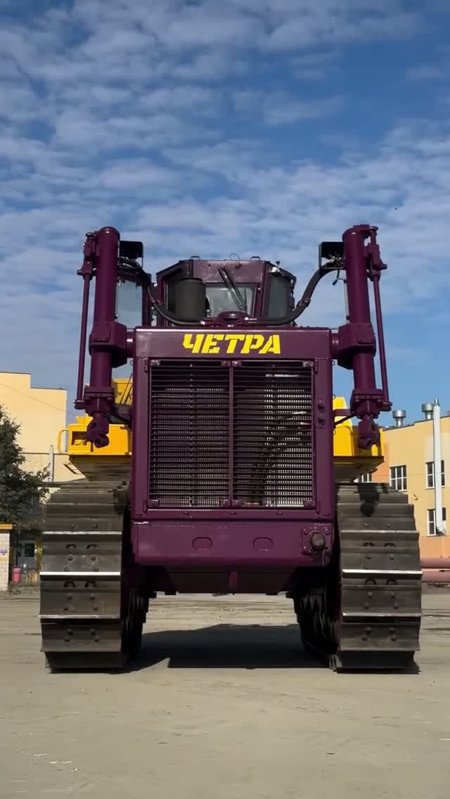 SHORTS ЧЕТРА