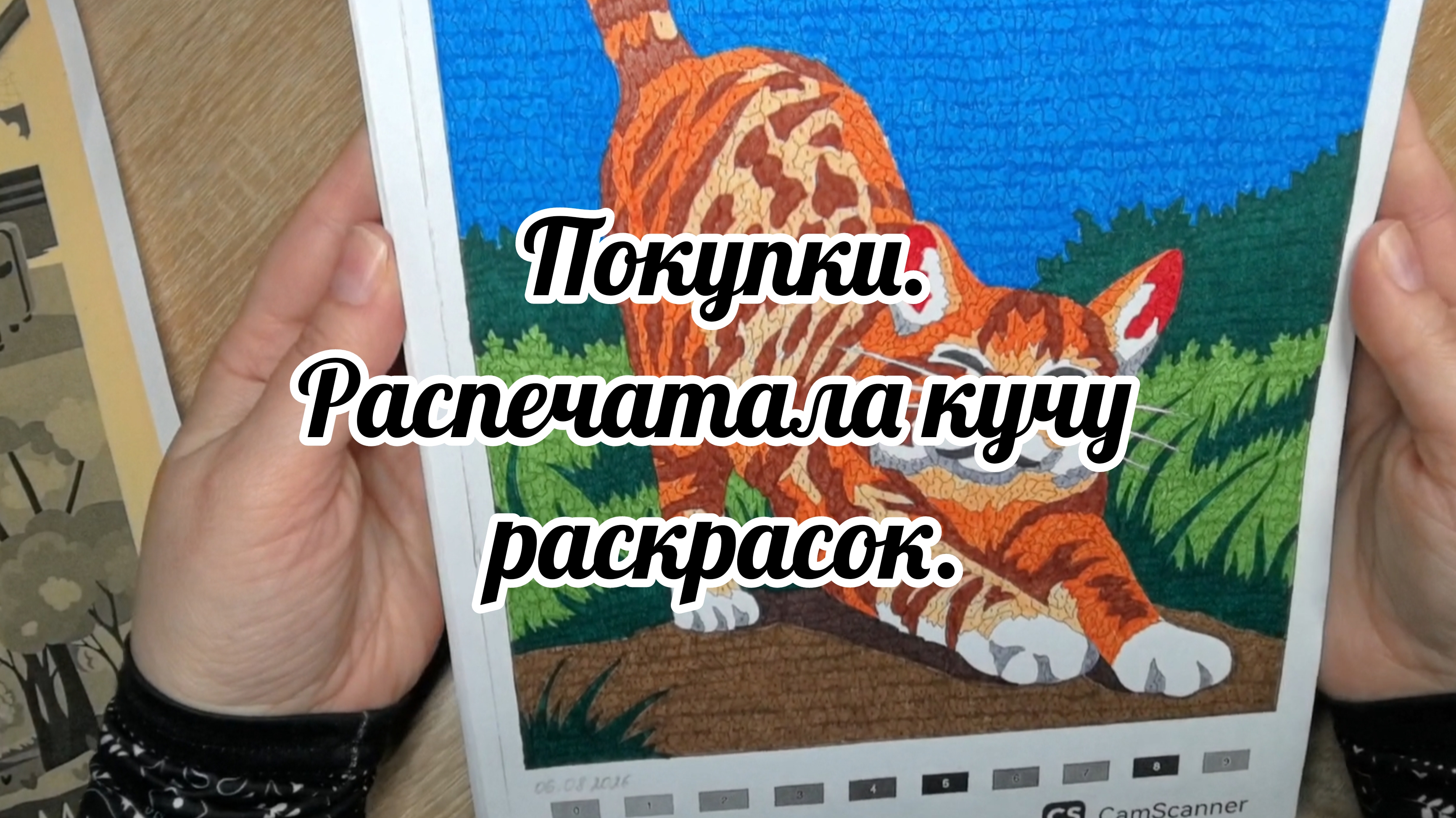 Хобби-влог | Покупки. Процессы. Распечатала кучу раскрасок.