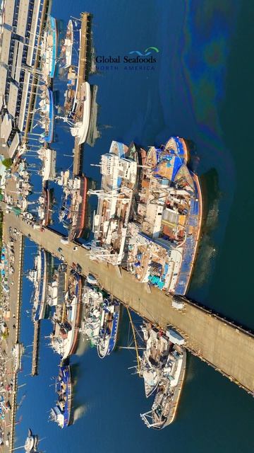 Позор рыбакам, загрязняющим воды Сиэтла, по которым мигрирует лосось 🐟⚠️
