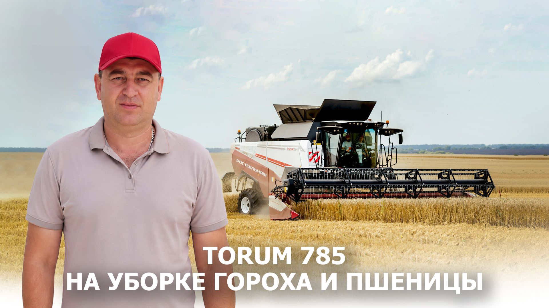 TORUM 785 на уборке гороха и пшеницы