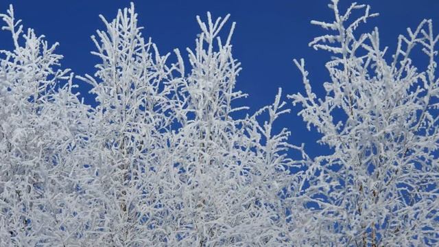 Видеозарисовки