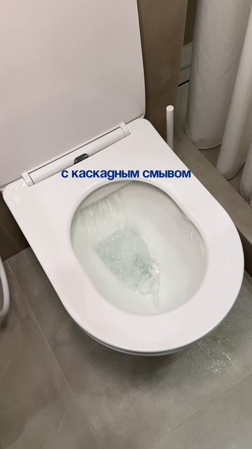 Унитаз с каким смывом выбрали бы?