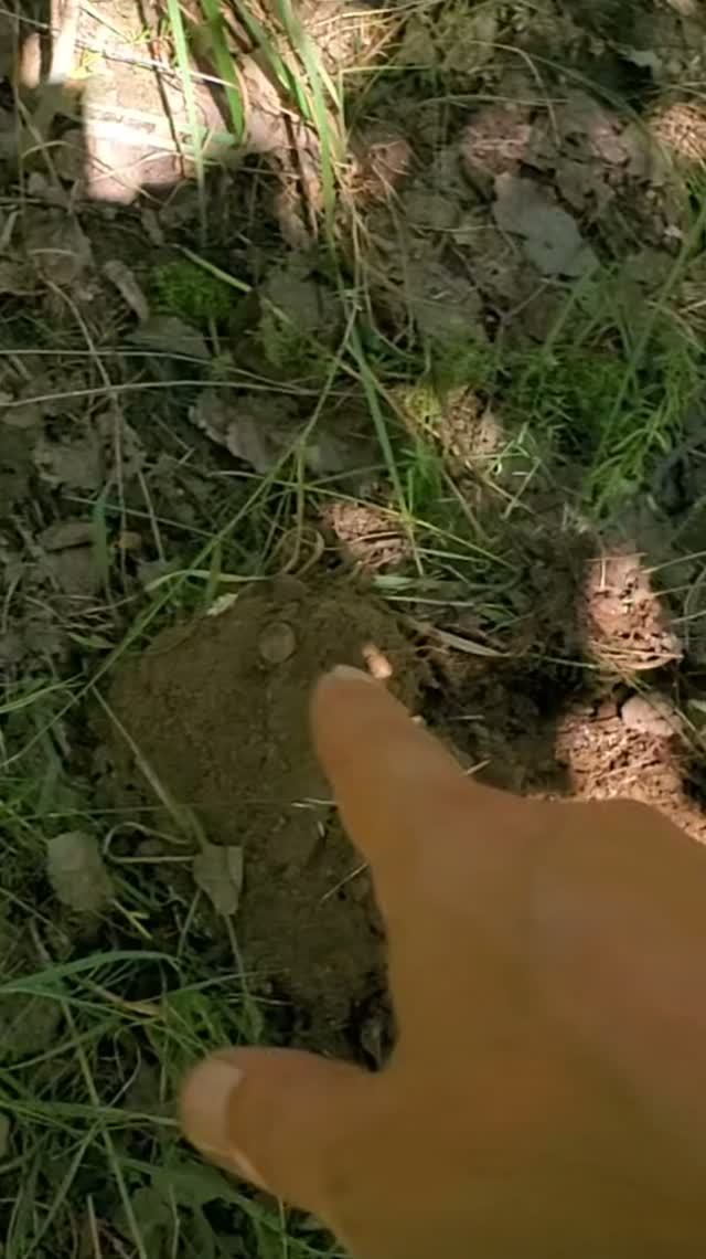 Снова трёшка.