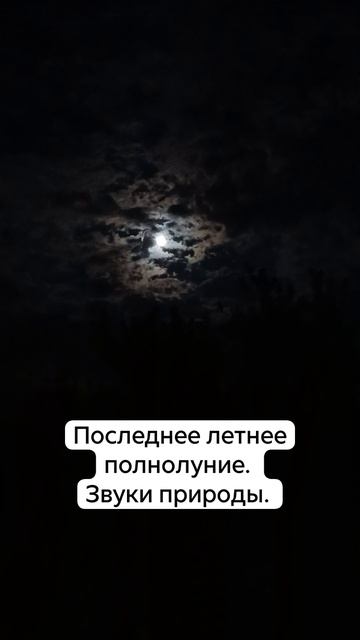 Последнее полнулуние лета 2026. 31-08-2026