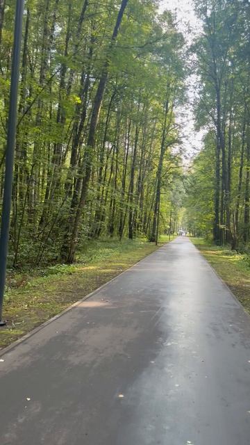 Таинственный парк в Подмосковье.