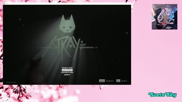 Stray