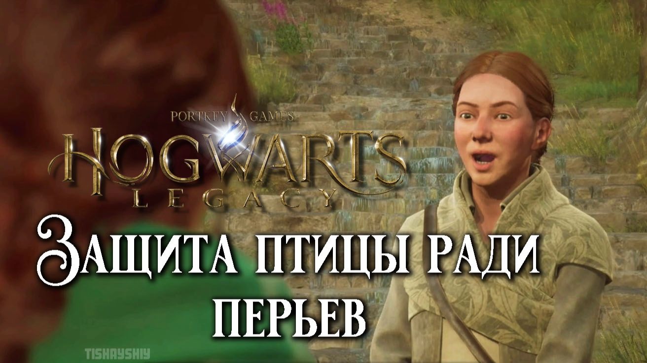Защита птицы ради перьев. Hogwarts Legacy прохождение. Birds Of A Feather