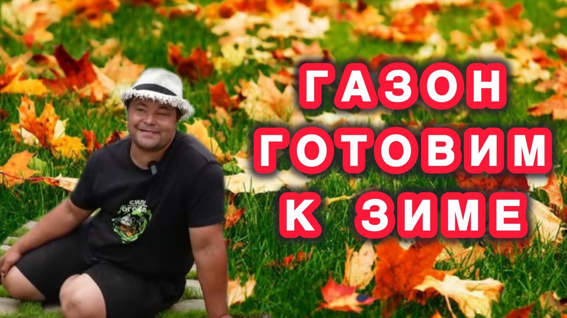 Осенние работы в саду - как подготовить газон к зиме и не поздно ли его сеять в сентябре.