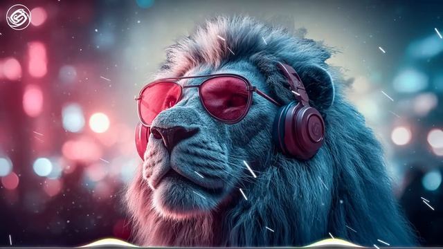 Infinity EDM Mix