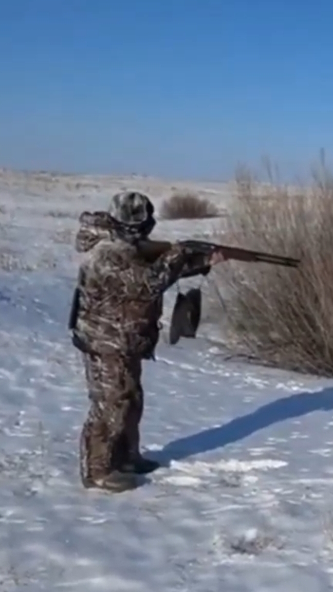 Охота на волков зимой: Погоня на снегоходах! #shorts