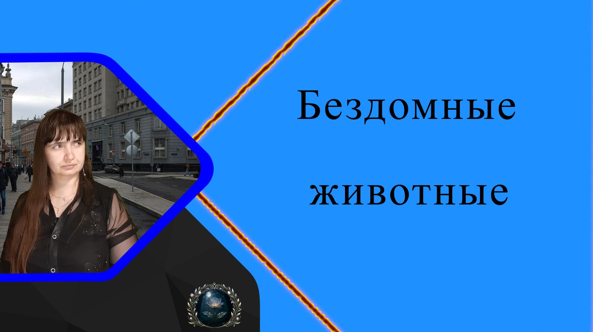 Размышлялки