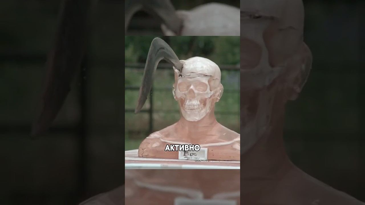 Боевой Бумеранг из Древней Галлии