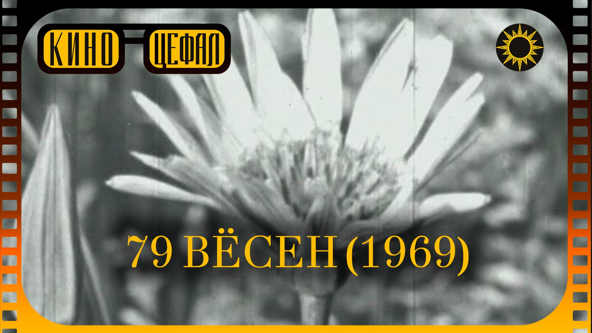 79 вёсен / 79 Primaveras (1969) | впервые на русском