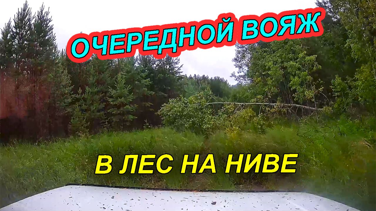 ВОЯЖ В ЛЕС НА НИВЕ 🚗 КОГДА КАРТА НЕ НУЖНА❗