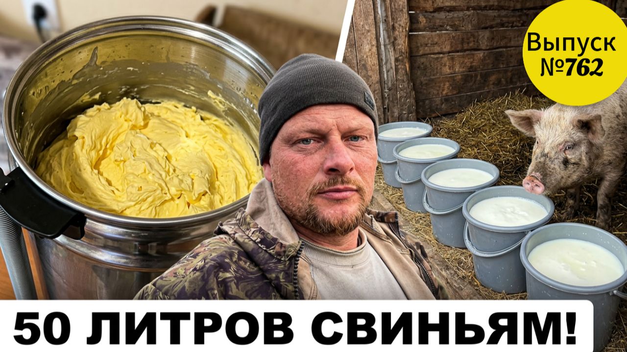Как в бездонную бочку! И как в них это всё лезет. Как мы кормим хозяйство в Омской деревне.