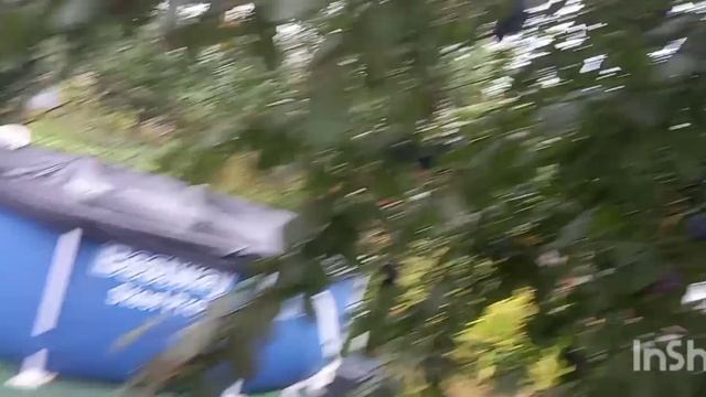 31.08.2026 г обзор в гараже что сделано и игы собаки