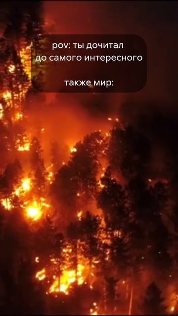 Мир, когда ты дочитал до САМОГО ИНТЕРЕСНОГО МОМЕНТА...