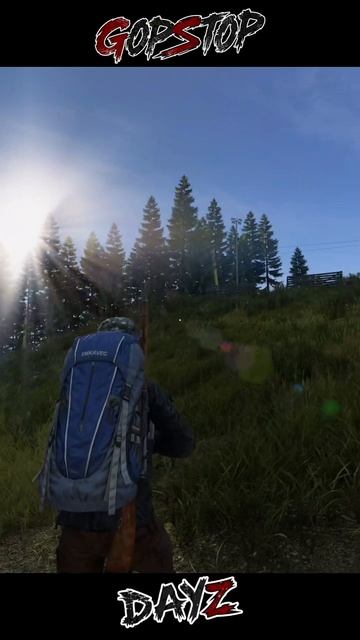 #dayz#dayzstandalone#дейз#pvp#survival#tarkov