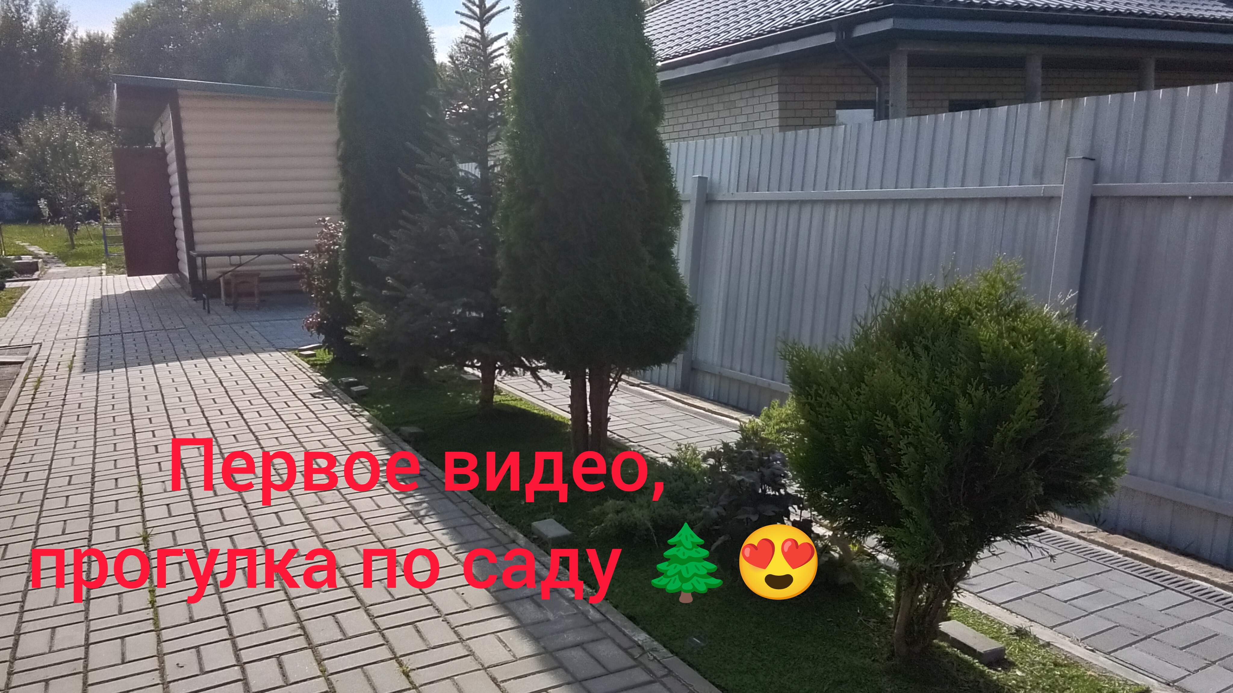 Прогулки по саду🌲🩷