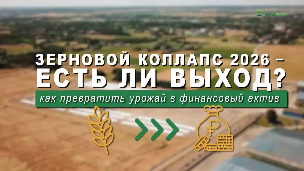 Зерновой коллапс 2026 – есть ли выход? Как превратить урожай в финансовый актив