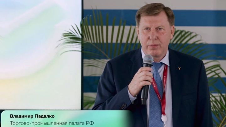 Владимир Падалко: мы должны информировать малый и средний бизнес об особенностях индийского рынка