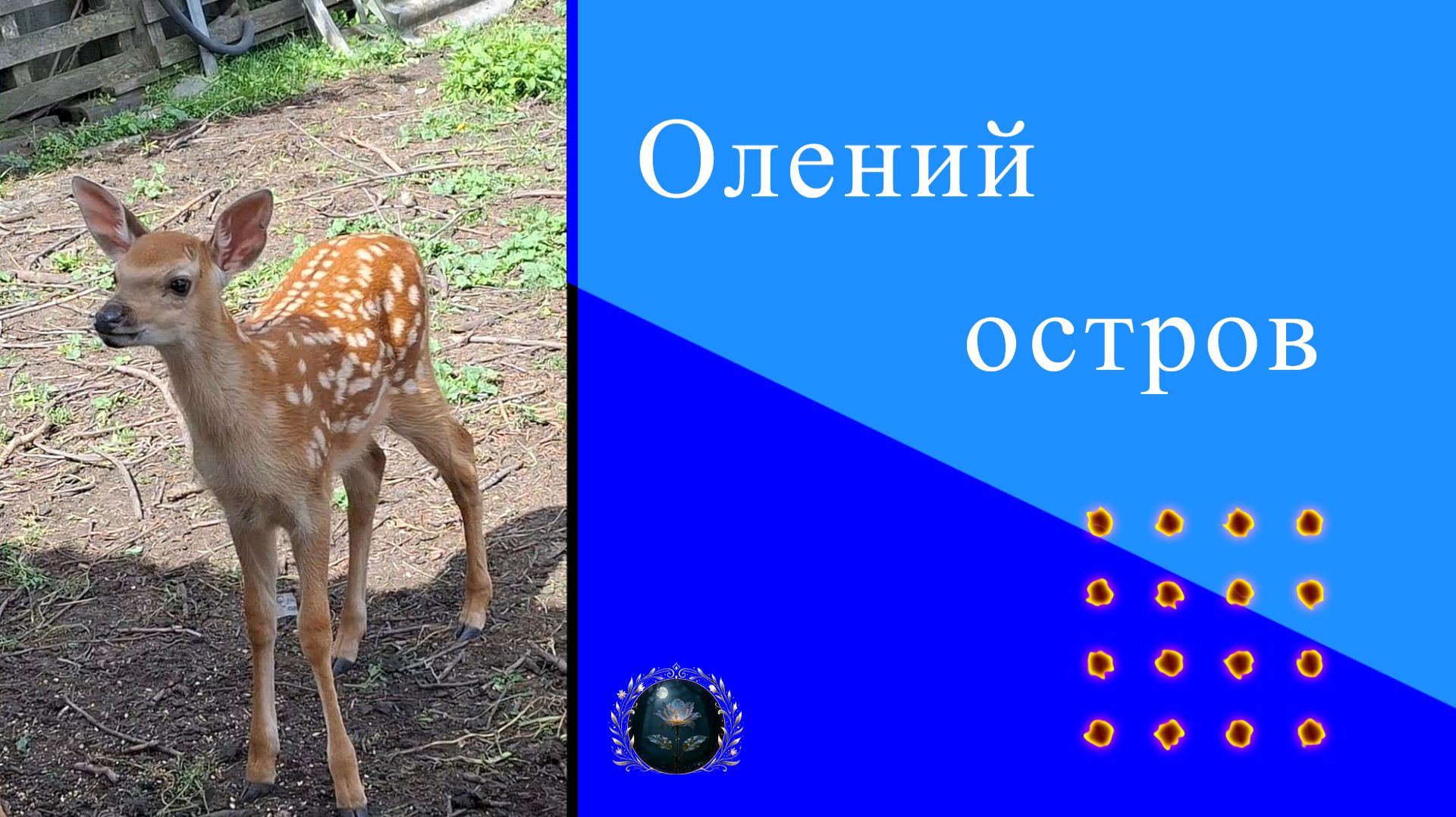 Саратовская область
