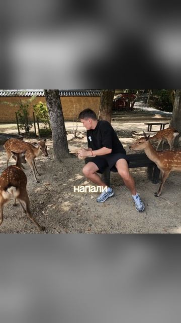 МЫ НЕ ДУМАЛИ, ЧТО ЯПОНИЯ ОКАЖЕТСЯ ТАКОЙ…