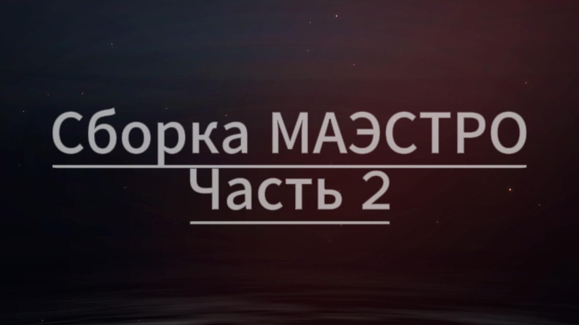 Сборка МАЭСТРО часть 2