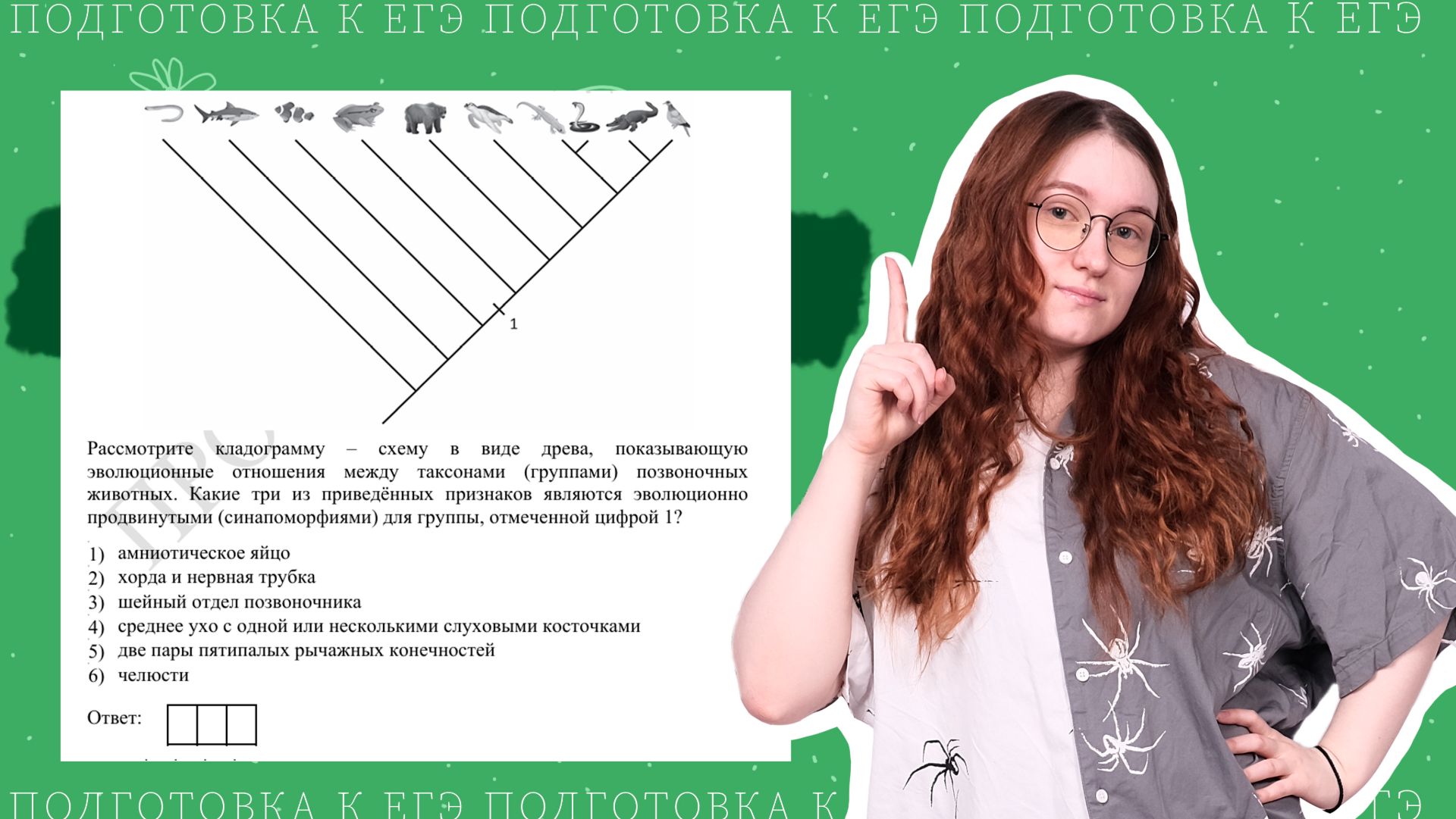 ЕГЭ