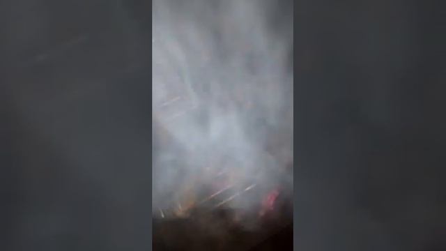 жарим шашлык)