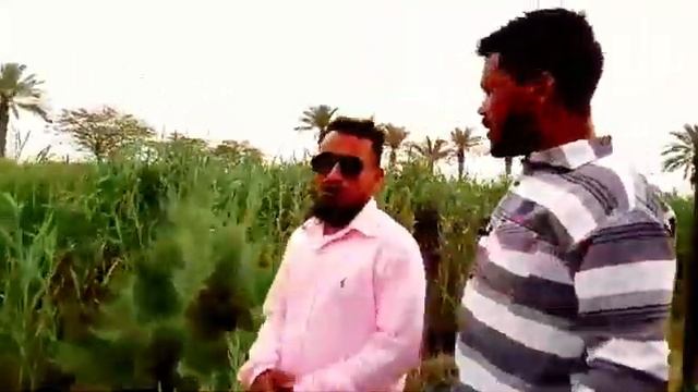 Pissing In Front Of The Camera