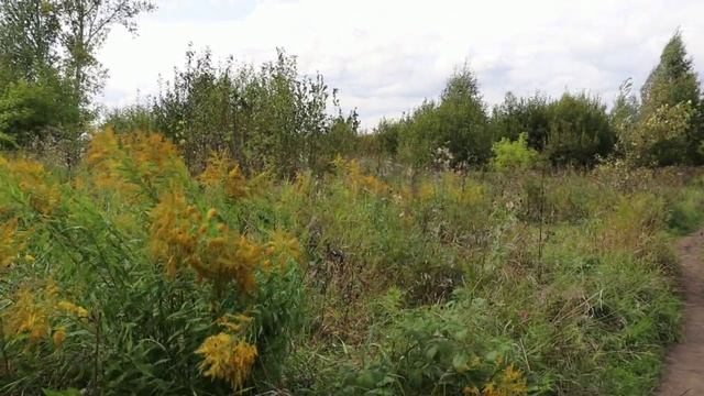 Озеро Красное, Суховское в Кемерово