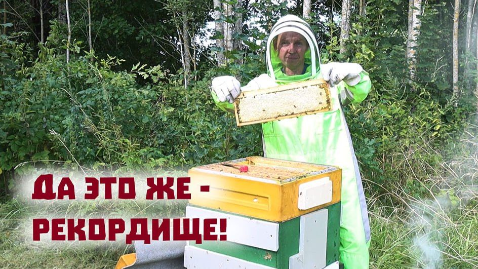 Пчеловодство