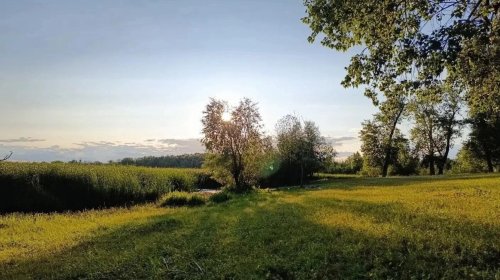 День свободного ветра. Такое утро