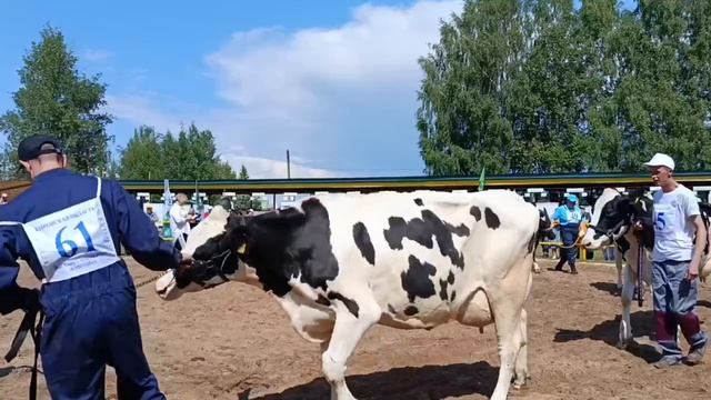 АСКОНТ на выставке племенных животных в Кирове