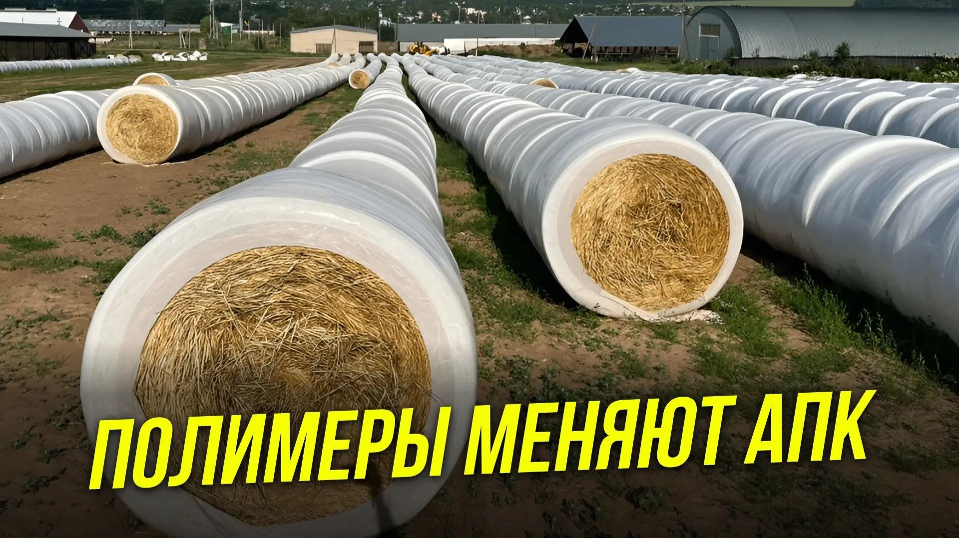 Как не терять деньги на урожае? | Решения с Всероссийского дня поля 2026 | СИБУР