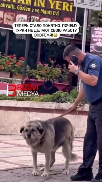 Ну, что прощены? 🇹🇷
