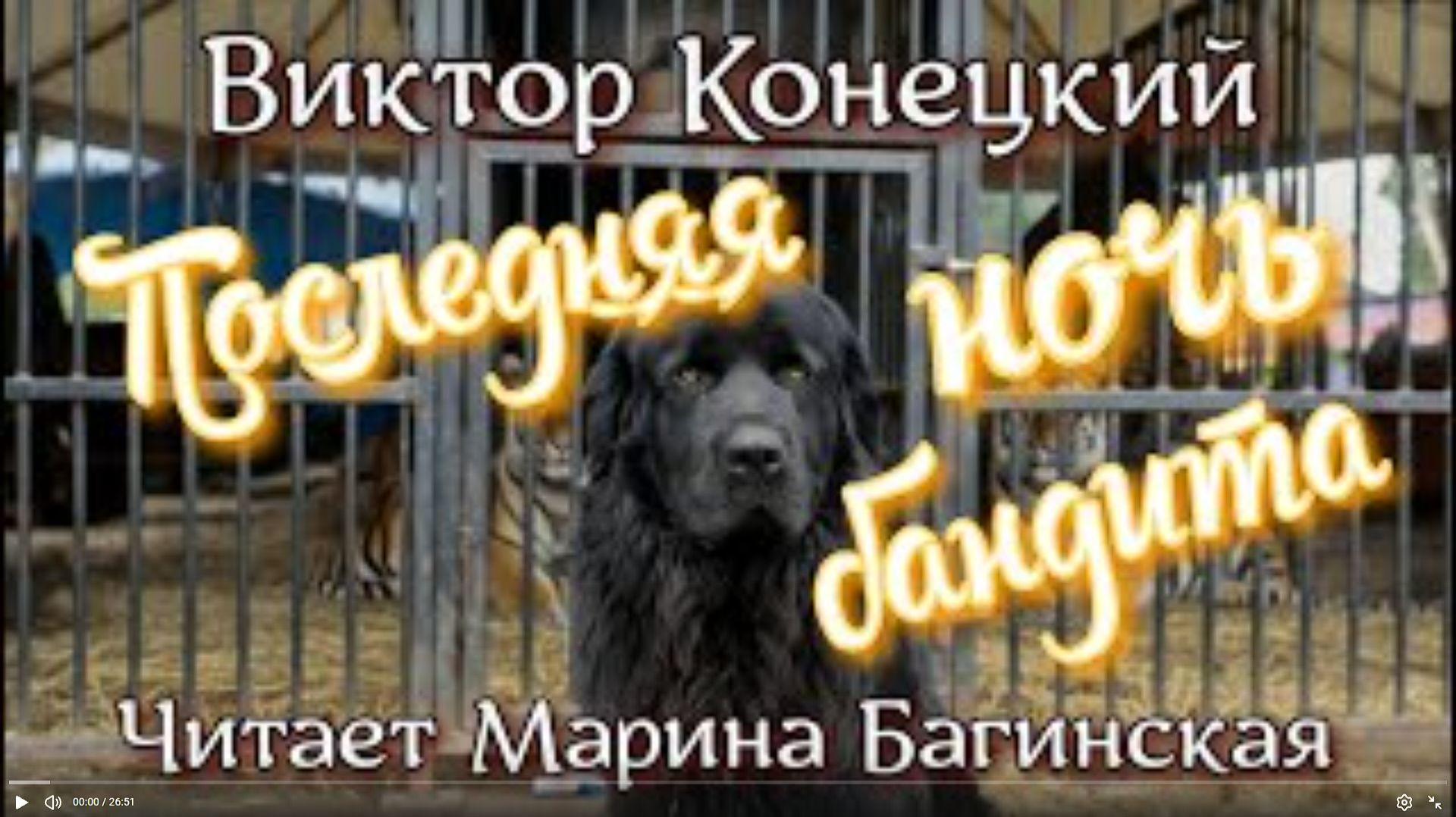 Виктор Конецкий читает Марина Багинская
