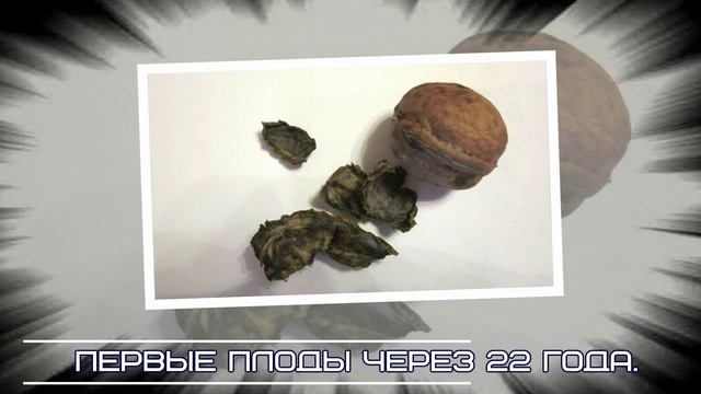 Разное