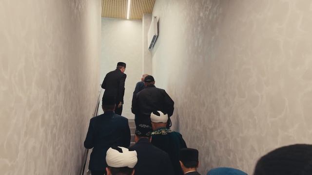 видеожурналы